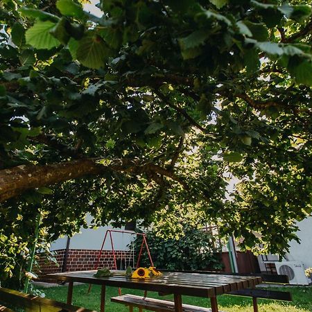 Apartman Vejama Josipdol Esterno foto